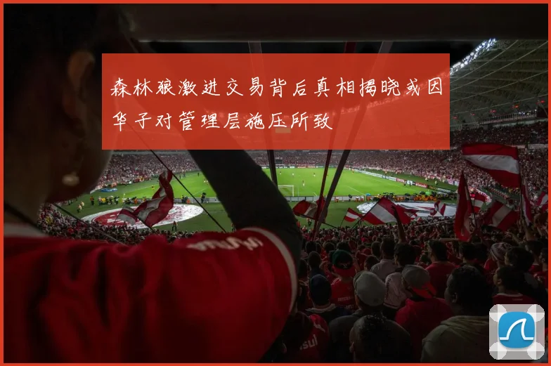 森林狼激进交易背后真相揭晓或因华子对管理层施压所致
