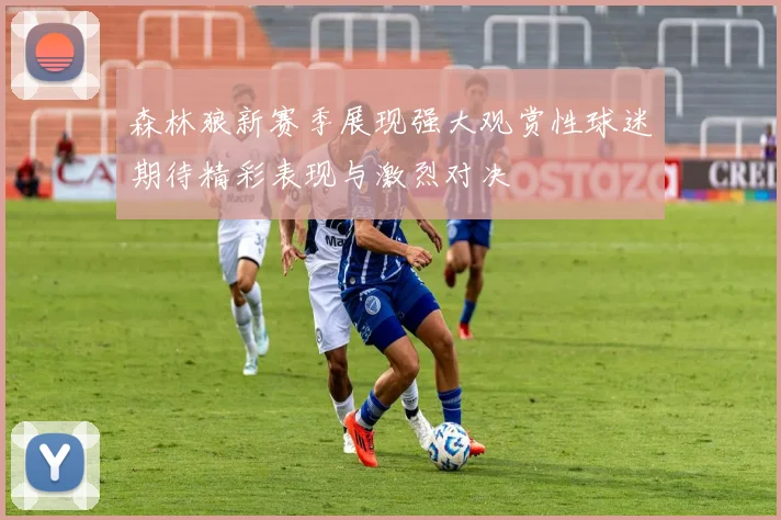森林狼新赛季展现强大观赏性球迷期待精彩表现与激烈对决